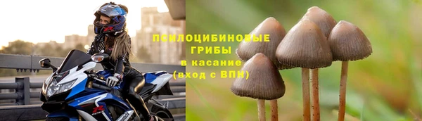 альфа пвп Баксан