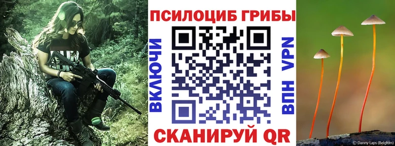 Псилоцибиновые грибы Cubensis  Макаров 